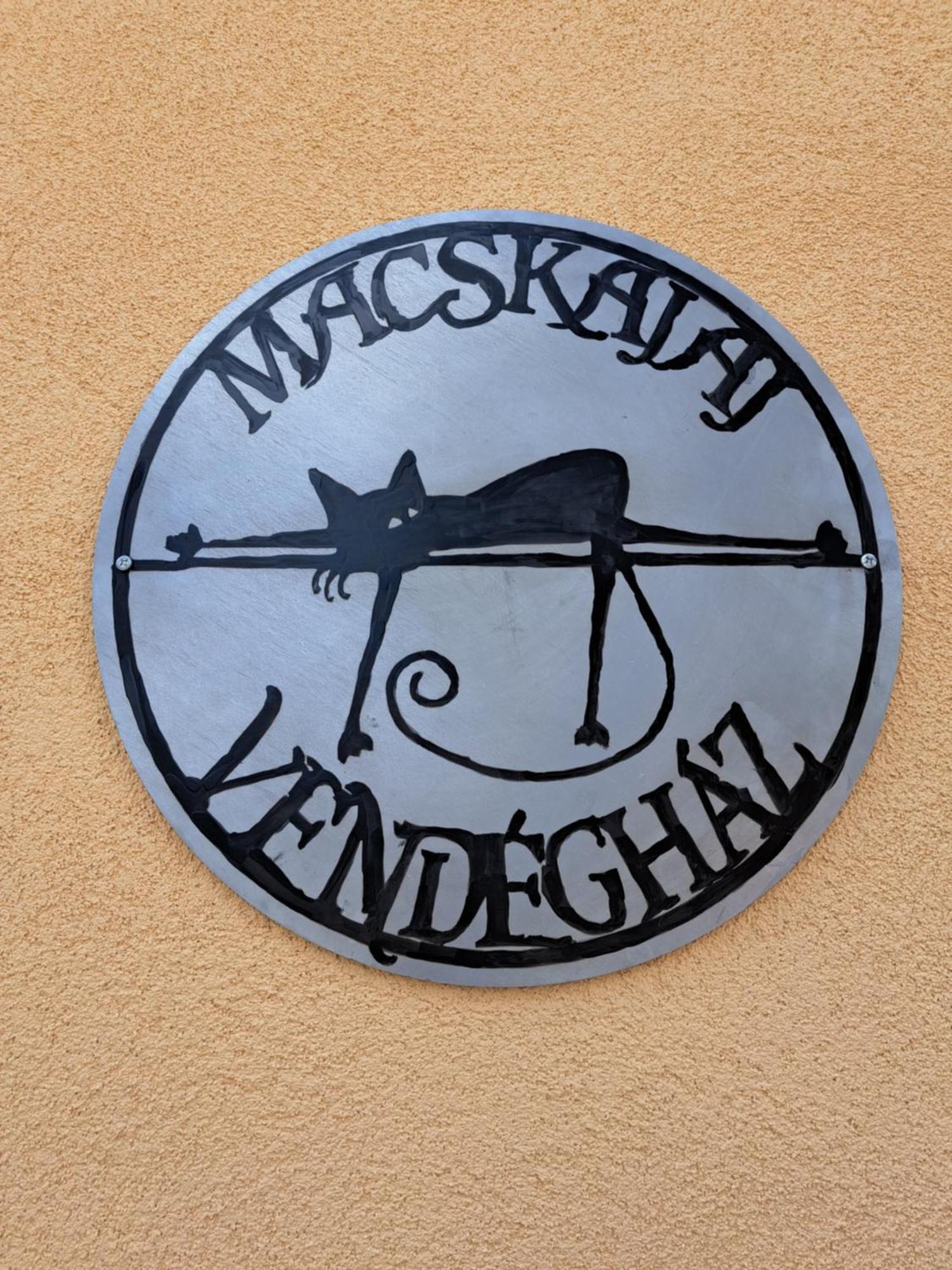 Macskajaj Vendeghaz Villa Mecseknádasd Eksteriør billede